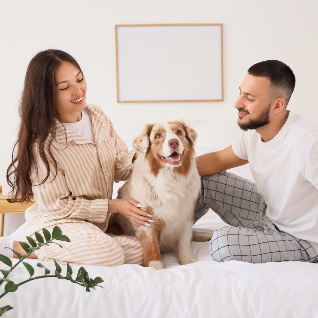 Stock - young couple with dog